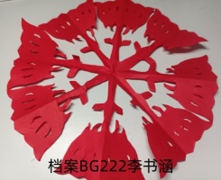 档案bg222李书涵_副本